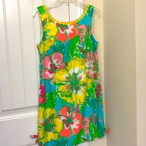 NWT GORGEOUS DELIA SHIFT .....size 10